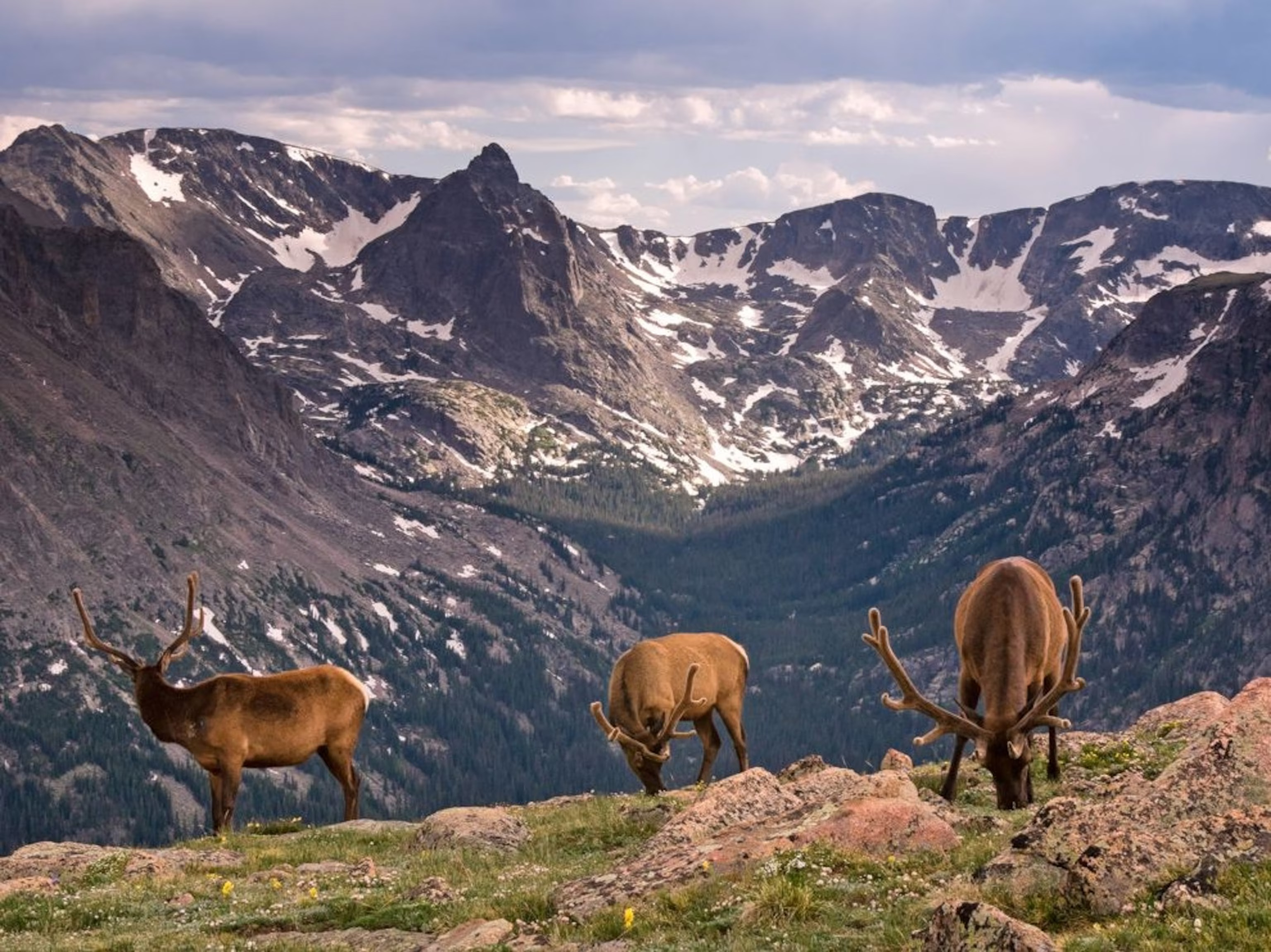 The Rocky Mountains