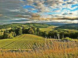 The Willamette Valley